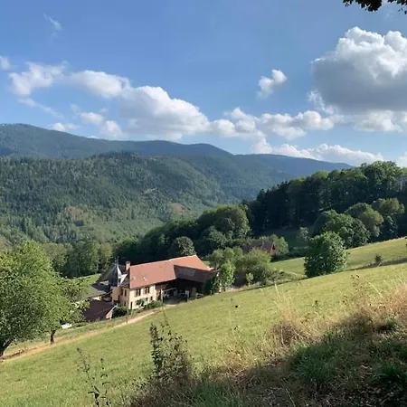 Ferme La Tourelle, Nature & Vue Exceptionnelle Sainte-Marie-aux-Mines Exterior photo