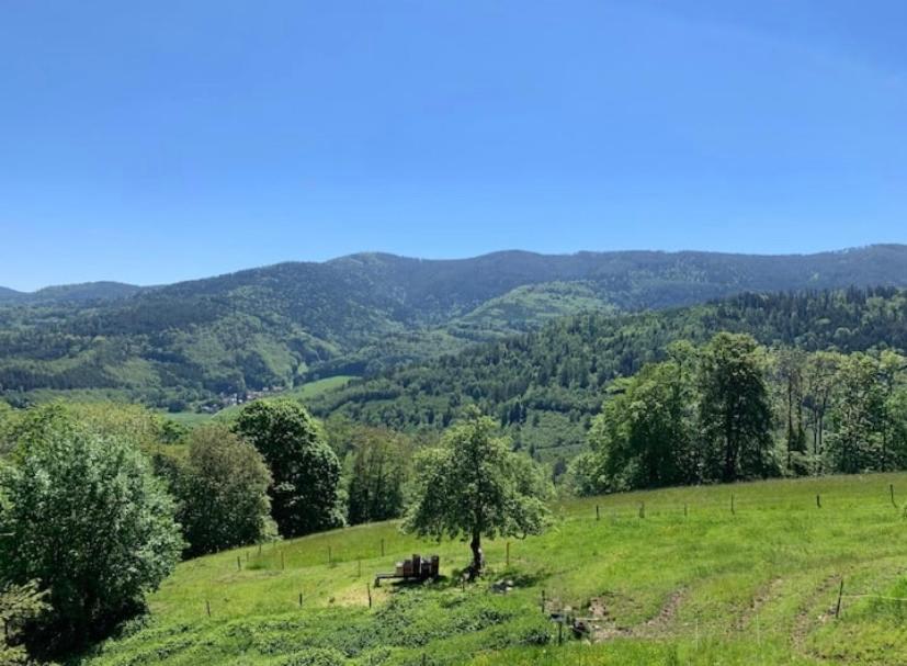 Ferme La Tourelle, Nature & Vue Exceptionnelle Sainte-Marie-aux-Mines