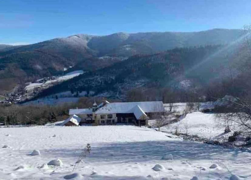 Ferme La Tourelle, Nature & Vue Exceptionnelle * Sainte-Marie-aux-Mines