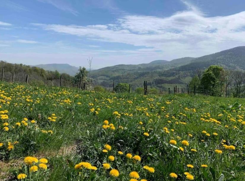 Apartment Ferme La Tourelle, Nature & Vue Exceptionnelle