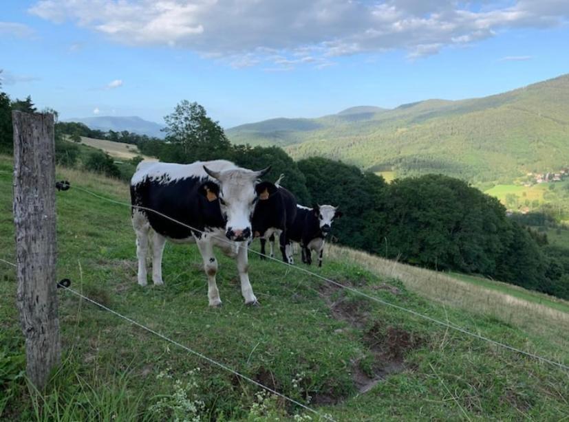 Apartment Ferme La Tourelle, Nature & Vue Exceptionnelle